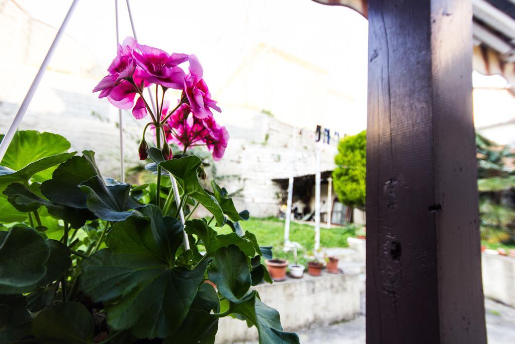 Guesthouse Natalija Pula Extérieur photo